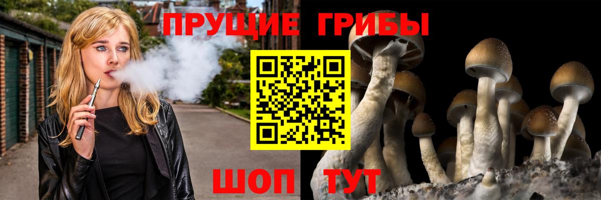 Псилоцибиновые грибы MAGIC MUSHROOMS Красноперекопск